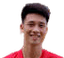 Huy Hung Nguyen player photo