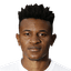 Ramires player photo