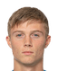 L.Erjavec player photo