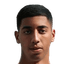 Ismail Hrila player photo