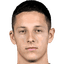 Domagoj Bradaric player photo