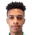 Wellington Priori player photo