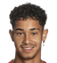 Willy Gabriel Vogt player photo
