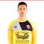 Despot Mihailovic player photo