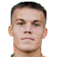 davids druzinins player photo