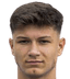 Manuel Petrovic player photo