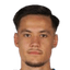Armin domuzeti player photo