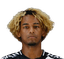 Matheus Nunes Fagundes De Araujo player photo