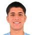 Felipe Andrés Ogaz Muñoz player photo