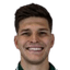Pedro Henrique Perotti player photo