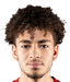 Ziad Ghanoum player photo