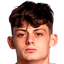 Sebastian Palmer-Houlden player photo