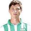 Artur Novotryasov player photo