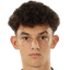 Denis Serban Stefan player photo