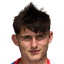Dominik Andrzej Biniek player photo
