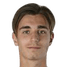 Riccardo Capellini player photo