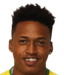 L. Singh player photo