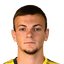 Denis Holub player photo