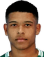 Vinicius player photo