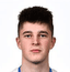 Liam Walsh player photo