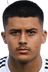 Lion Semic player photo