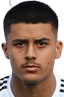 Lion Semic player photo