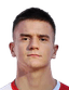 Mirko Topić player photo