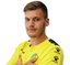 Petar Rubić player photo