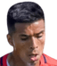 Nicolas carvajal player photo