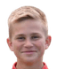Aleks Vitrikus player photo
