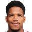 Dominic Vinicius player photo