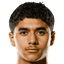 Anass Zarrouk player photo
