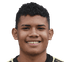 Royner Andrés Benítez Hernández player photo