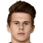 F. Hašek player photo