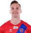 Andrzej Niewulis player photo