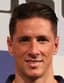 Fernando Torres player photo