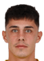 Florin Gheorghe·Borta player photo