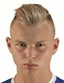 Arian Rener player photo