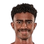 Ibrahim Mohammed Al-Hassan player photo