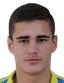 Mario Veljaca player photo
