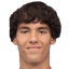 Ianis Avrămescu player photo
