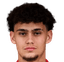 O. Schmidhauser player photo