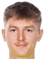 Carl Viktor Johan Dryselius player photo