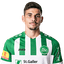 Andre·Ribeiro player photo