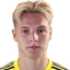 Ovidijus Šiaulys player photo