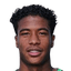 Ryan Flamingo player photo