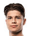 Lars Villiger player photo