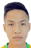 Đỗ Sỹ Huy player photo