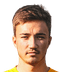 N. Krimm player photo