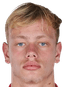 Max de Waal player photo